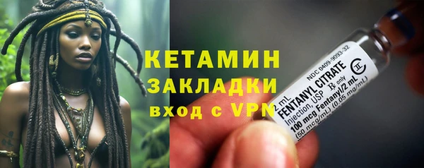 индика Пестово