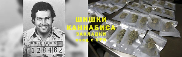 круглые Алзамай