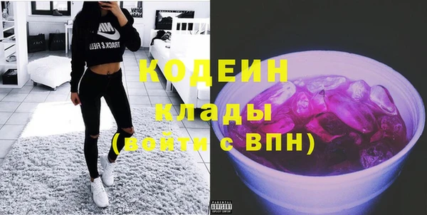 spice Пересвет