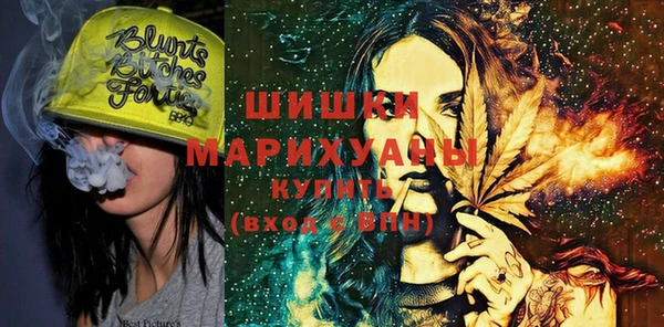 индика Пестово