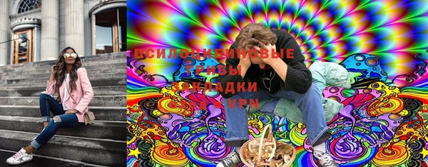круглые Алзамай