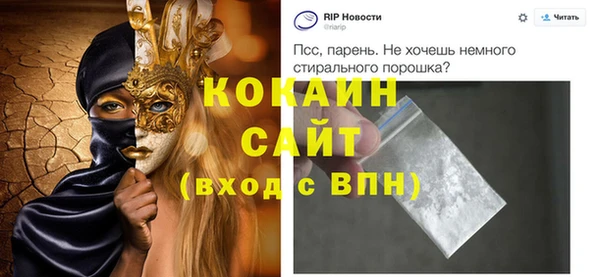 индика Пестово